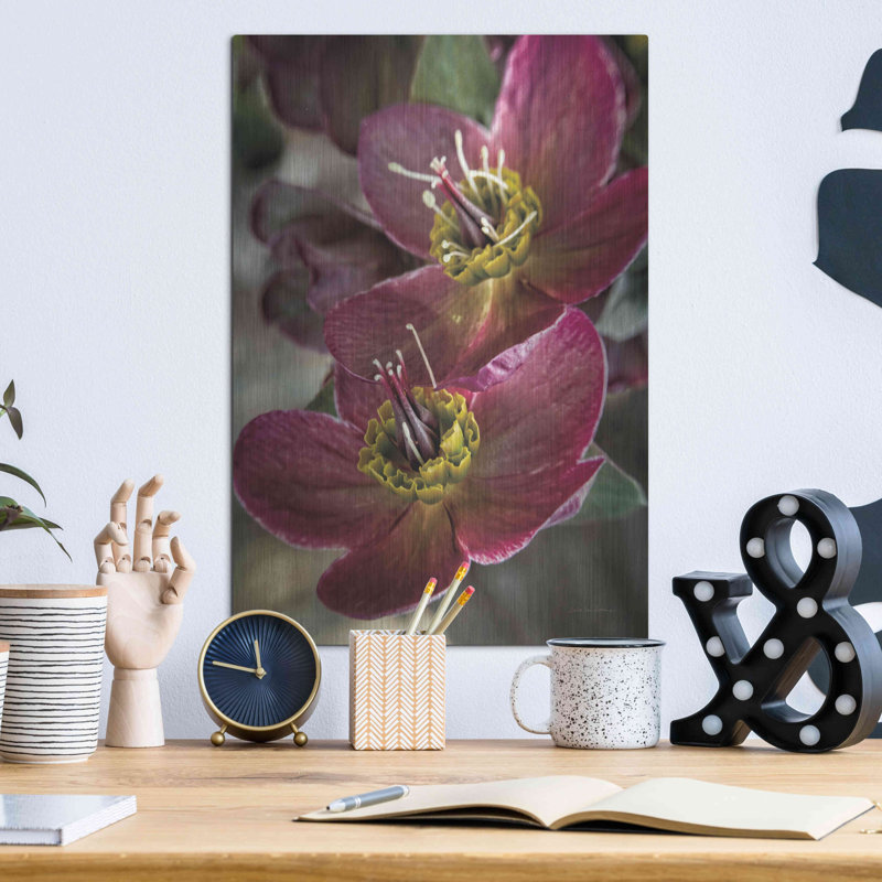 «Lenton Rose V» par Debra Van Swearingen, H 16 po x l 12 po