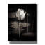 «Lotus Flower VI» par Debra Van Swearingen, art mural sur toile-1616139111