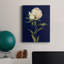 PRETTY AS A PEONY II - Impression sur toile tendue-386555222