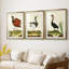Heron Portrait IV - reproduction encadrée sur mesure de qualité supérieure mate - 3 pièces-1822660510-1822660509