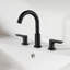 Widespread 2-handle Bathroom Faucet