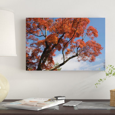 Autumnal Trees At Katsura Imperial Garden, Kyoti Prefecture, Japan by Panoramic Images - Unframed Print