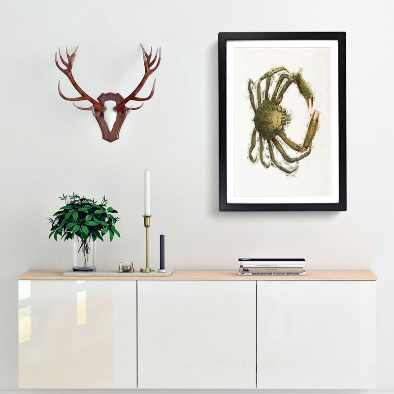 Spider Crab by J.E. De Kay - Picture Frame Painting Print, 65cm H x 48cm W x 2cm D, Black Framed