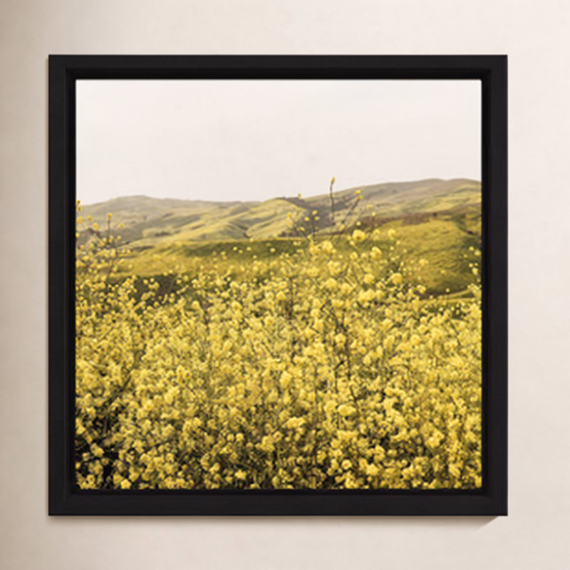 «Spring Is Here Yellow Wildflowers» par By Brije, H 12 po x l 12 po x P 2 po, Toile encadrée noire, Non