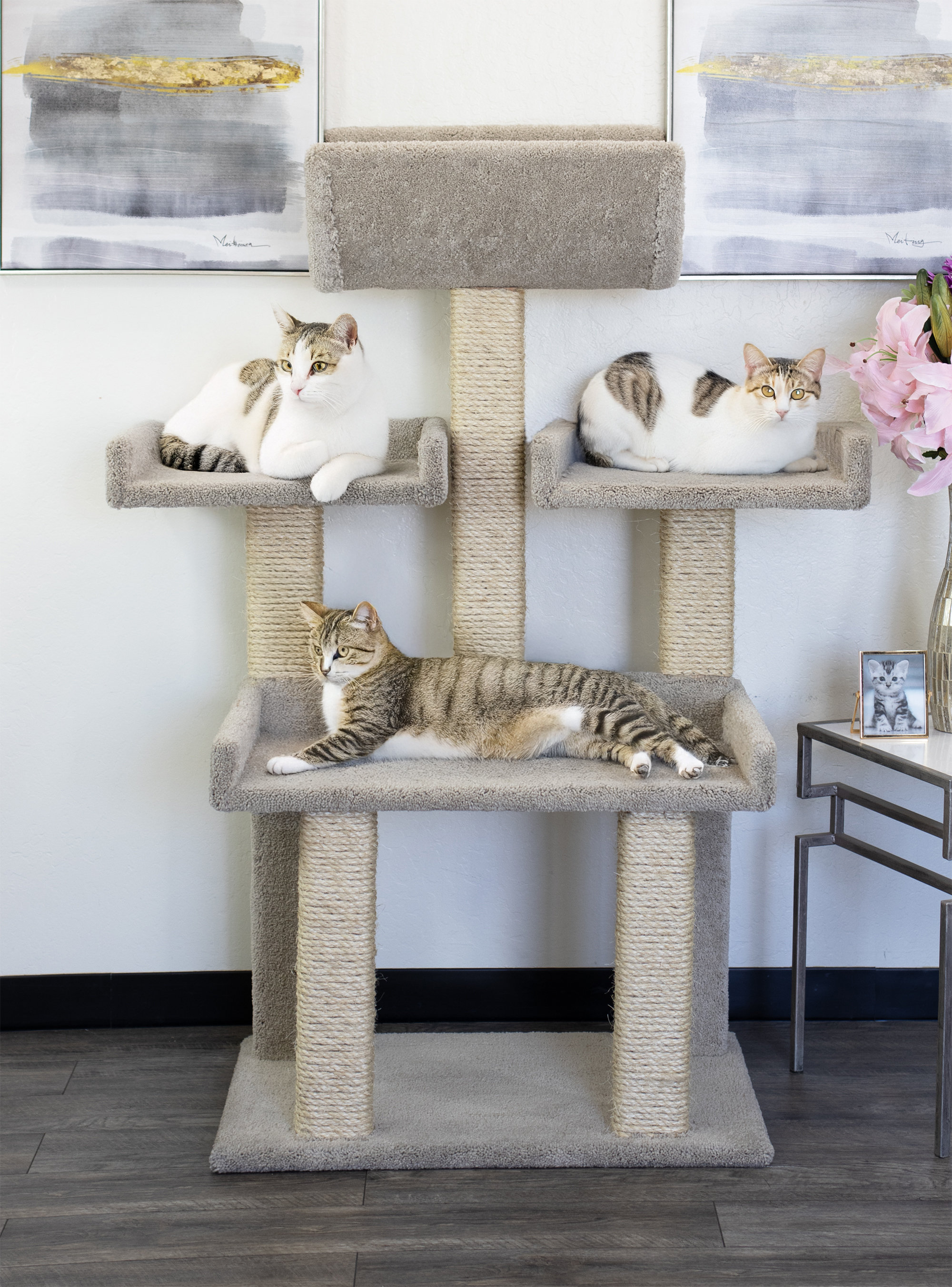 Prestige Cat Trees 56