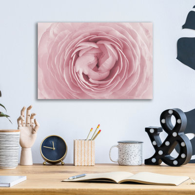 " Rose " by PhotoINC Studio