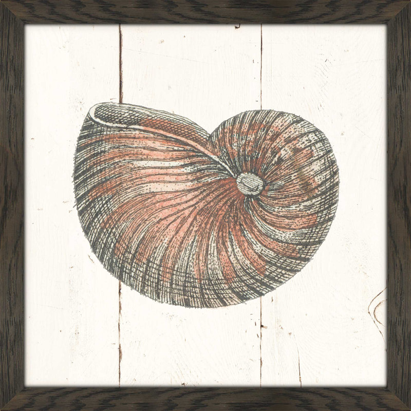 «Shell Sketches III Shiplap», reproduction de dessin, H 37,5 po x l 37,5 po x P 1 po, Cadre chocolat patiné