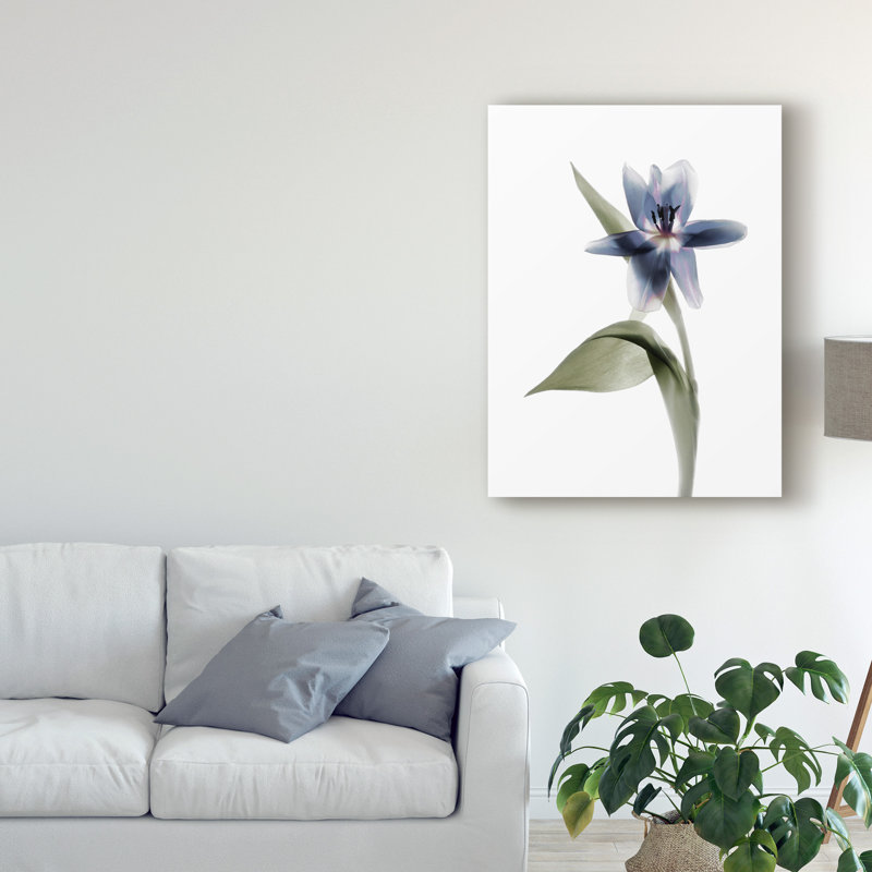 « xray tulip vii », peinture sur toile tendue, H 24 po x l 18 po x P 2 po
