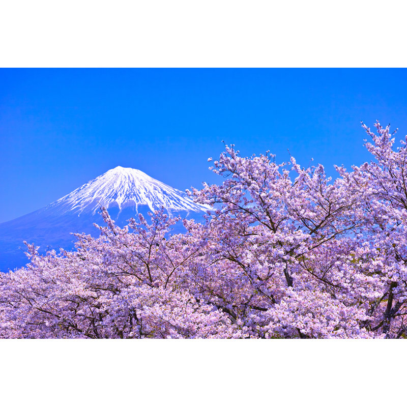 Roberta Mount Fuji - Wrapped Canvas Print, 61cm H x 91cm W x 3.8cm D
