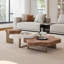 Ensemble de table basse 2 pièces Newsoms