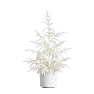 Pre-Lit Pine Tree