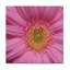 Kurt Shaffer - Print on Canvas-13906387