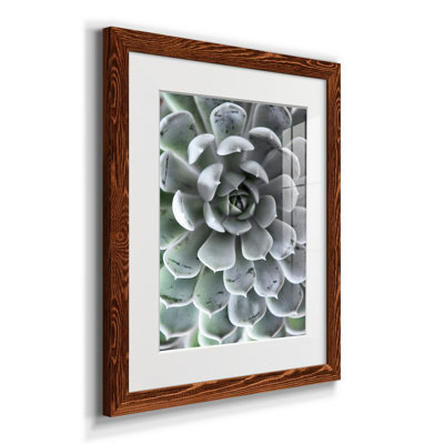 Zen Succulent III - reproduction de photo sur papier encadrée