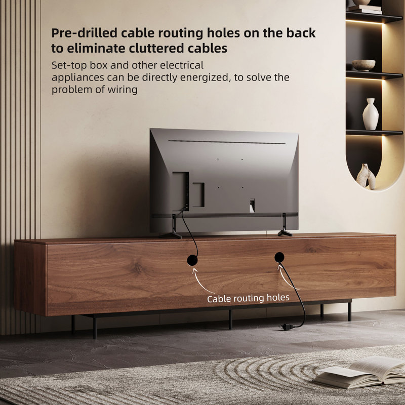 Medieval Modern TV Cabinet with Storage & Wire Holes