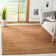 Doleman Hand Woven Hemp/Cotton Rug in Rust