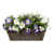 Purple/White is out of stock selected