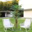 Rozlyn 240cm Faux Tree