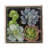 6'' Faux Succulent in Manufactured Wood Pot