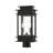 Anaejah Black 2 -Light 16.75" H Hardwired Lantern Head