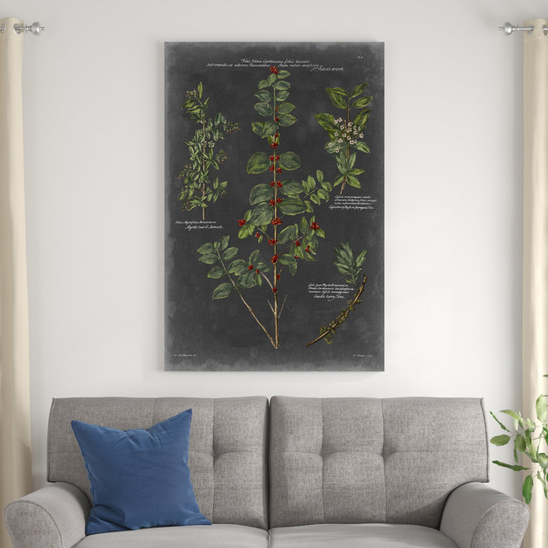Tableau botanique rétro, H 48 po x l 32 po x P 1,25 po