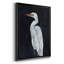 Calm Great Egret I - impression-1507152965-1507153336