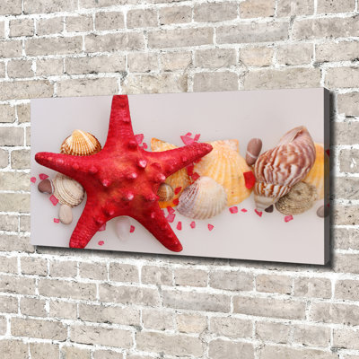 Starfish And Shells - No Frame Print on Canvas