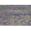 Tapis indien en laine All-Over