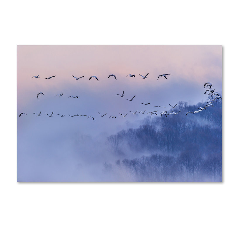 « snow oies », reproduction de photo sur toile tendue, H 30 po x l 47 po