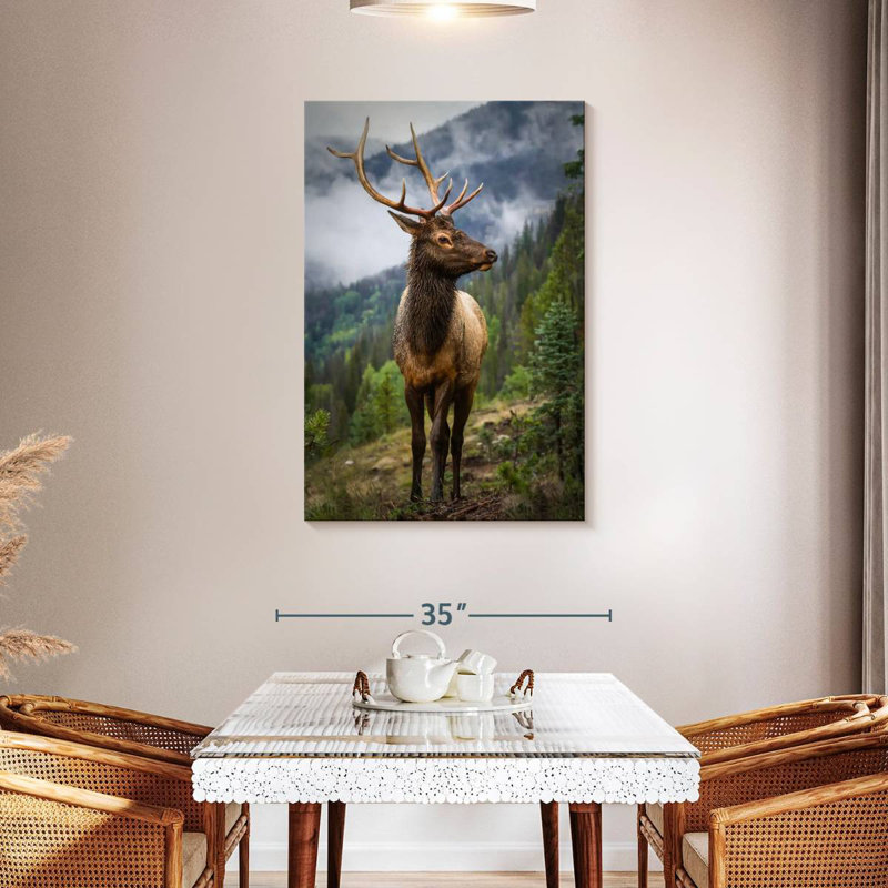 Wapiti dans les Rocheuses, H 45 po x l 30 po
