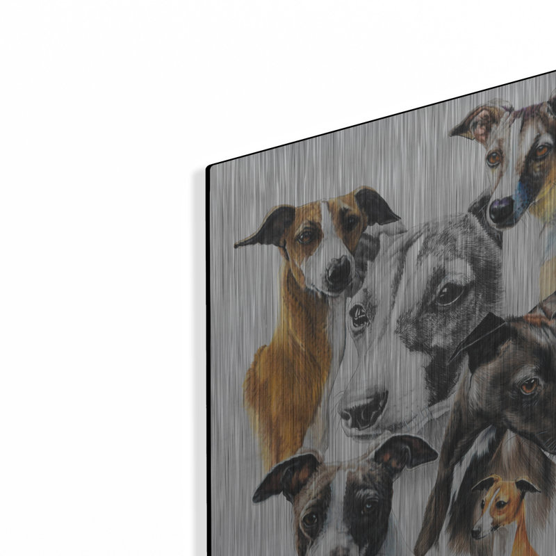 «Italian Greyhound Medley» par Barbara Keith, H 24 po x l 16 po