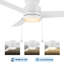 Ventilateur de plafond 52 po à chaîne CC et 3 lumières réversibles avec lumière DEL-47489265-15459603