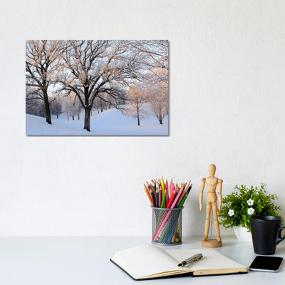 Morning Glow by Brian Wolf - Wrapped Canvas Print