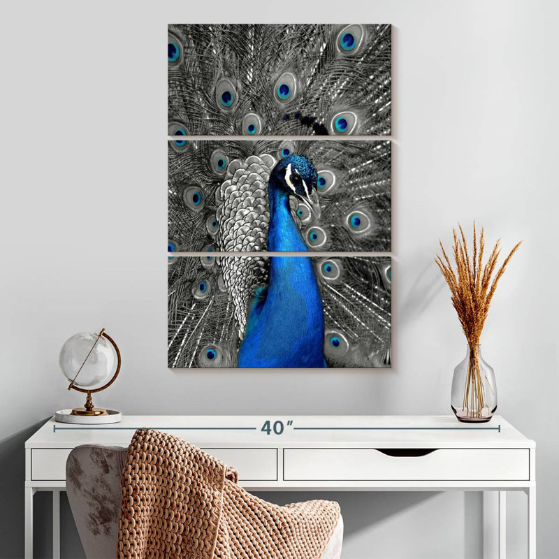 Gros plan Brampt paon bleu, H 32 po x l 20 po