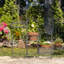 Support pour plante Stewartstown - ensemble de 2