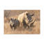No Frame Print on Canvas-246817706