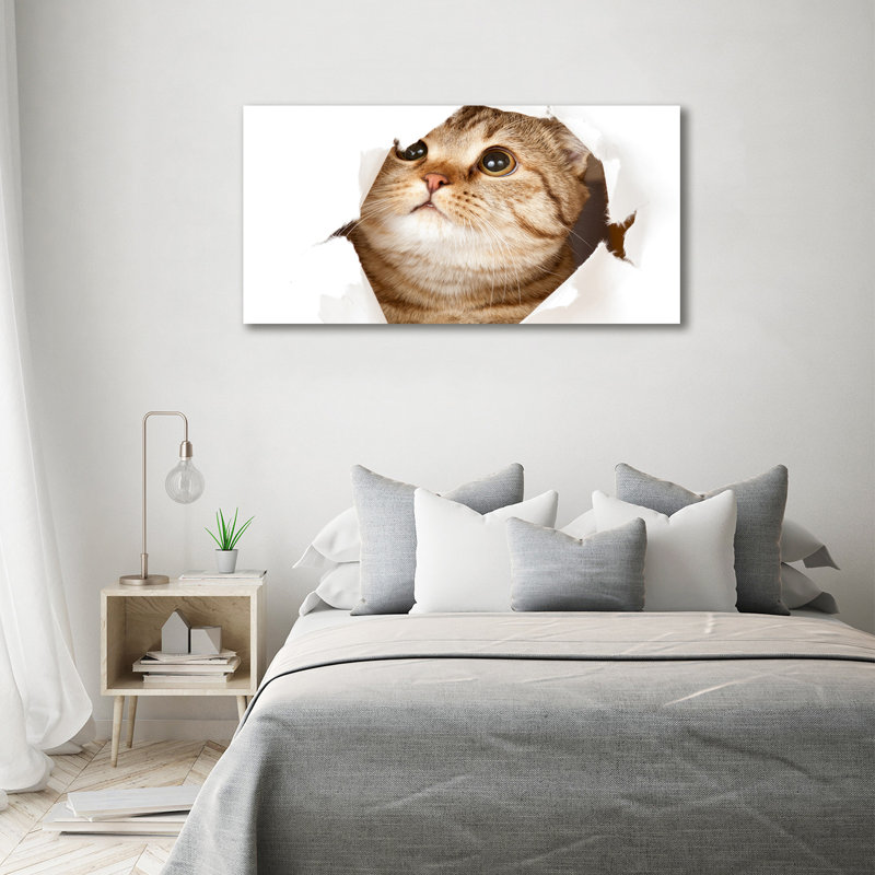 Cat - Wrapped Canvas Print