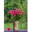 Vase de table Newham-584097570