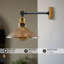 Advithi Glass Armed Sconce