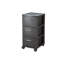 Armoire de rangement à roulettes 13 po