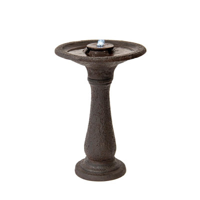 Rienke Weather Resistant Birdbath Fountain with Light