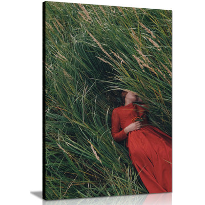 Panther Print Fine Art Prints Woman In Red Dress Laying On Grass Artistic Framed Canvas Prints, Pictures For Home Walls, Bedroom, Living Room & Bathroom Decor - Wrapped Canvas Art Prints