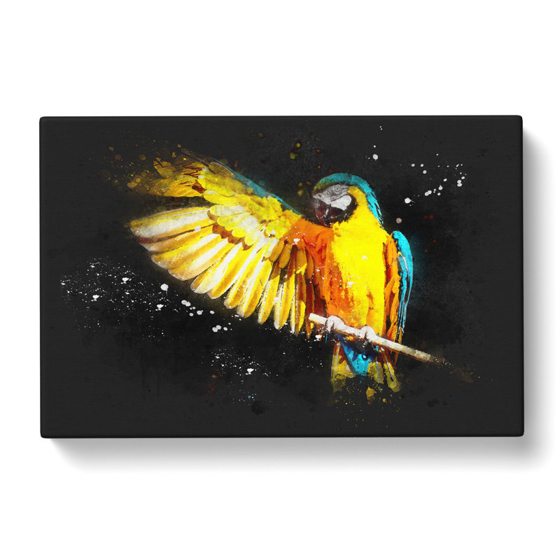 Yellow Macaw Parrot - Wrapped Canvas, 50cm H x 76cm W x 3cm D