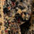 Alameda Abstract Indoor Rug-582941509