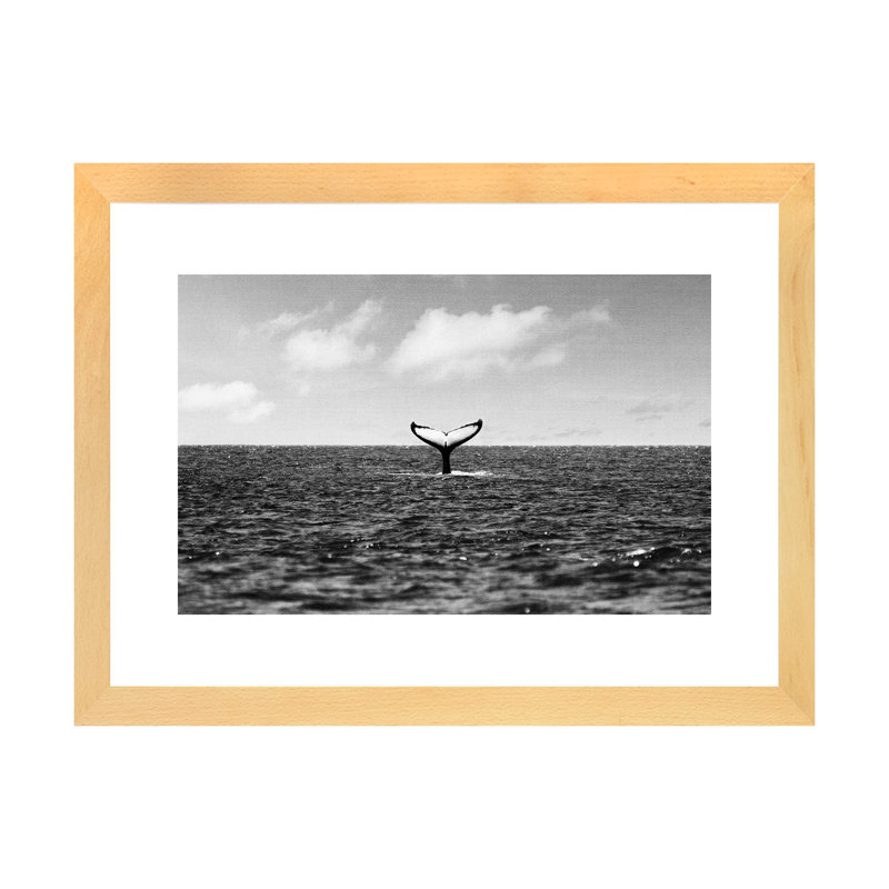 «Whale Tail» par Gal Design - reproduction de photo, H 16 po x l 24 po x P 1 po, Cadre en bois naturel, Blanc