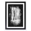 Forest Blur - Framed Print-56742838-56742839