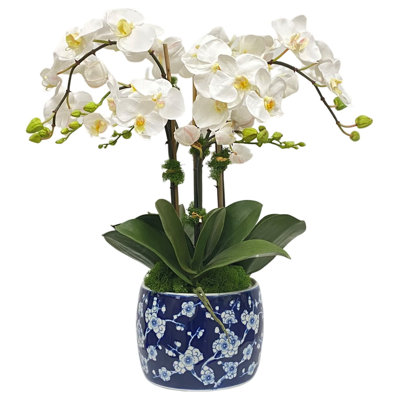 ORCHID IN BLOSSOM PLANTER