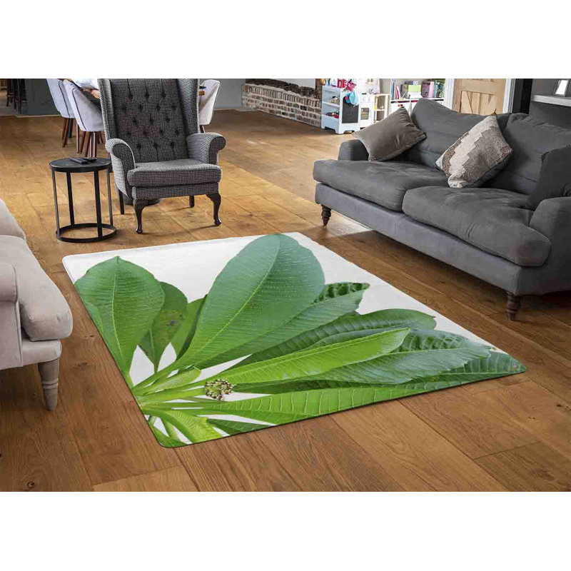 Miriyam Area Rug, Rectangle 60 x 110cm