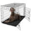 Cage pour chien CAPHAUS Tucker Murphy Pet ™, chenil métallique pour chien avec plateau étanche-980337103