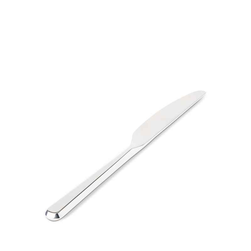 Amici Stainless Steel Dinner Knife