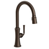 Stripling Single Handle Pull Down Kitchen Faucet